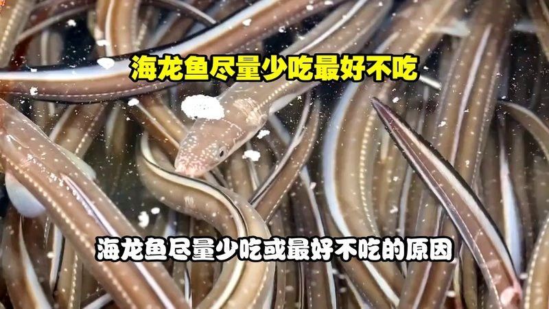 海里的金龍魚能吃嗎