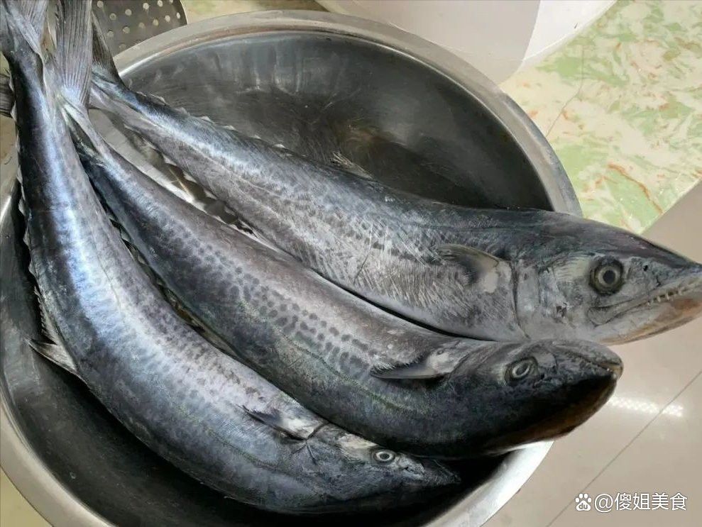 海里的金龍魚能吃嗎