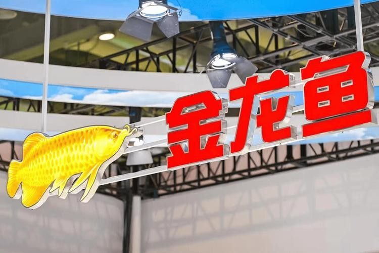 鞍山金龍魚經銷商