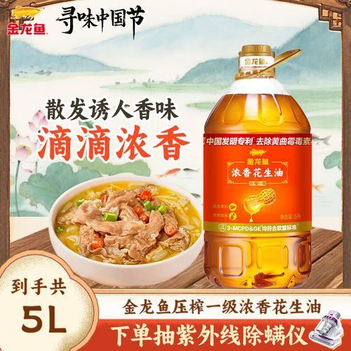 廣州哪里買金龍魚便宜又好養 廣州哪里買金龍魚便宜又好養 龍魚百科 第3張