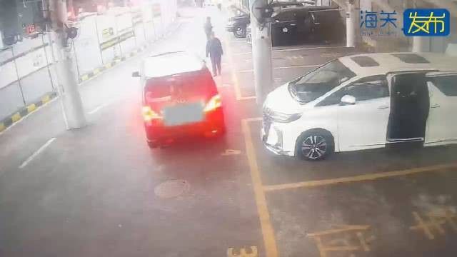 印尼金龍魚怎樣空運回中國