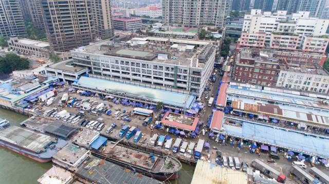 廣州哪里有金龍魚批發市場賣海鮮 廣州哪里有金龍魚批發市場賣海鮮 龍魚百科 第4張