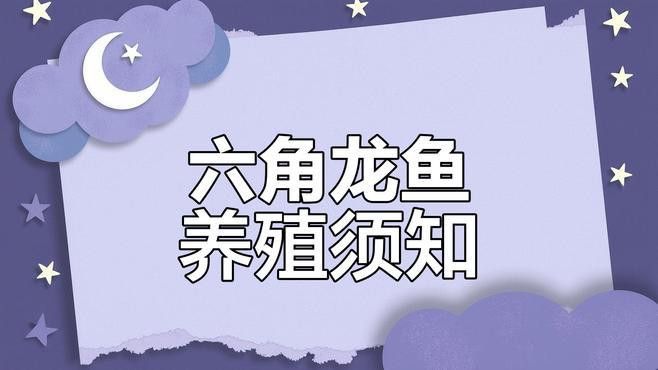 40公分紅龍魚喂食方法：40公分紅龍魚喂食頻率調整，紅龍魚喂食頻率調整方法