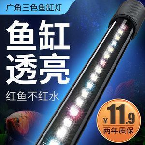 金龍魚缸燈是開著還是關著好一點：金龍魚缸燈開關時間和方式對金龍魚的健康和生長有著重要影響