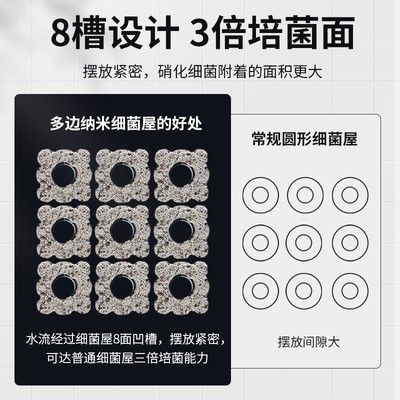 硝化細(xì)菌產(chǎn)品的選擇指南：如何選擇硝化細(xì)菌產(chǎn)品