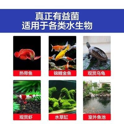 硝化細(xì)菌產(chǎn)品的選擇指南：如何選擇硝化細(xì)菌產(chǎn)品