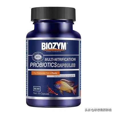 硝化細(xì)菌產(chǎn)品的選擇指南：如何選擇硝化細(xì)菌產(chǎn)品