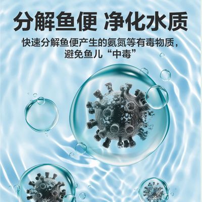 硝化細(xì)菌產(chǎn)品的選擇指南：如何選擇硝化細(xì)菌產(chǎn)品
