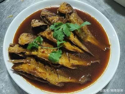 小龍魚好吃嗎怎么養活：小龍魚怎么養活