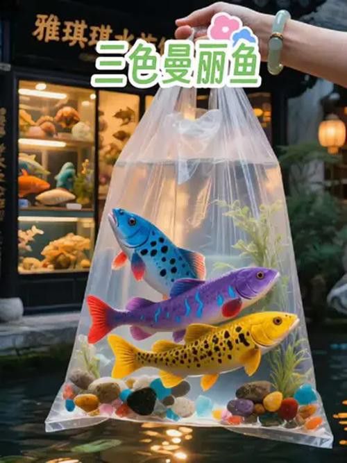 養曼龍魚怎么造景好看圖片
