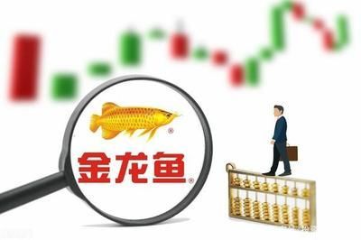 金龍魚(yú)財(cái)報(bào)出廠價(jià)：金龍魚(yú)財(cái)務(wù)報(bào)告分析