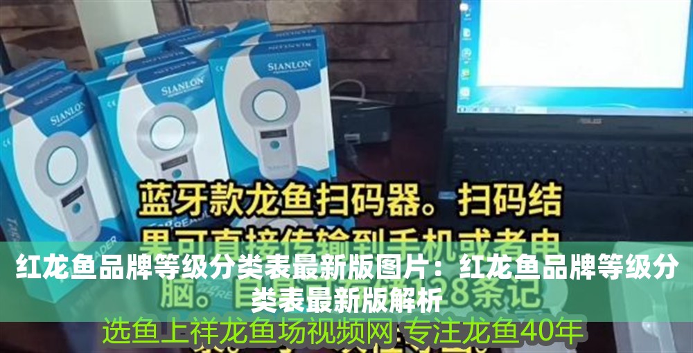 龍魚(yú)霉菌感染怎么治療