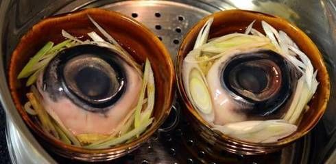 龍魚眼突出來了怎么治療（龍魚眼突出來了怎么治療龍魚眼突出來了怎么治療）