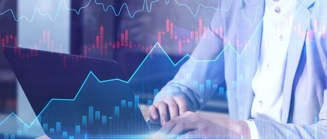 金龍魚主營業務收入