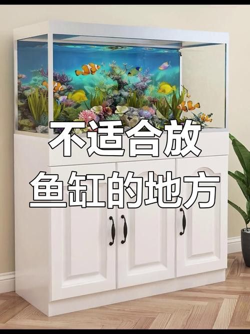 金九龍魚缸安裝圖解大全 金九龍魚缸安裝圖解大全 龍魚百科 第5張