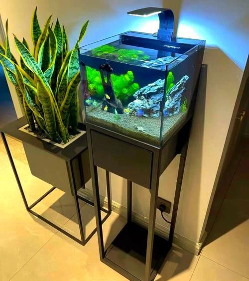 金九龍魚缸安裝圖解大全 金九龍魚缸安裝圖解大全 龍魚百科 第16張