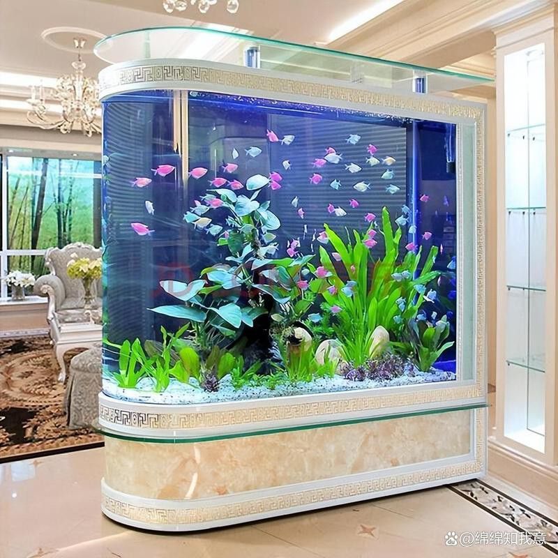 金九龍魚缸安裝圖解大全 金九龍魚缸安裝圖解大全 龍魚百科 第22張