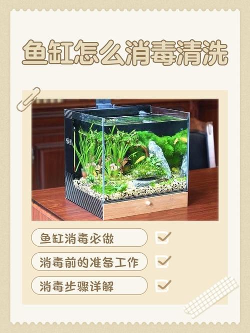 金九龍魚缸安裝圖解大全 金九龍魚缸安裝圖解大全 龍魚百科 第28張