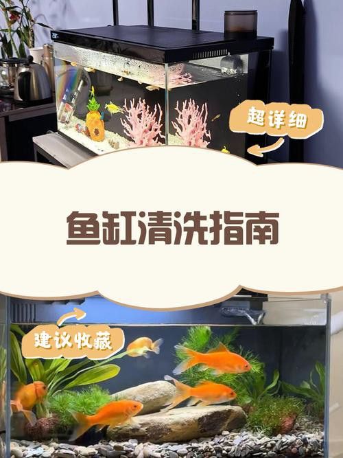 金九龍魚缸安裝圖解大全 金九龍魚缸安裝圖解大全 龍魚百科 第34張