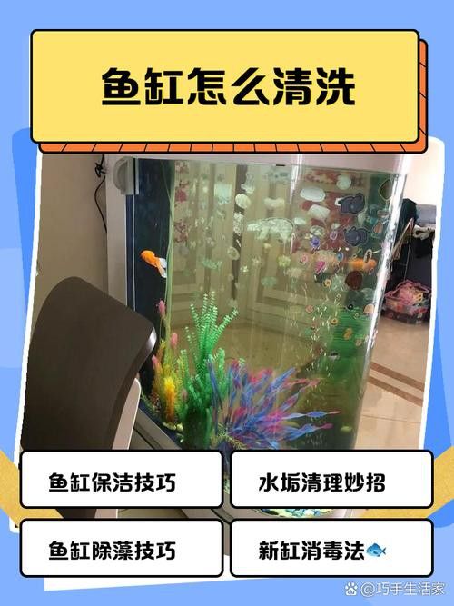 金九龍魚缸安裝圖解大全 金九龍魚缸安裝圖解大全 龍魚百科 第35張