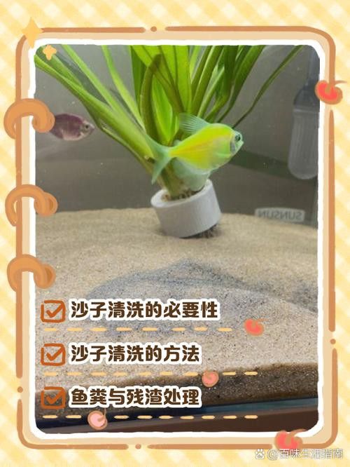 金九龍魚缸安裝圖解大全 金九龍魚缸安裝圖解大全 龍魚百科 第32張