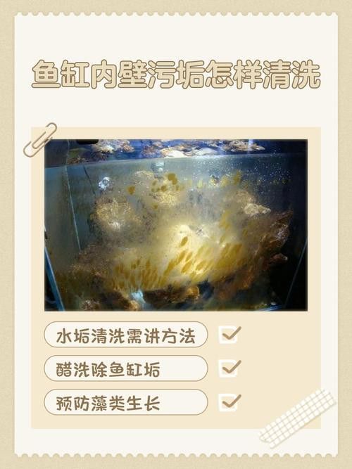 金九龍魚缸安裝圖解大全 金九龍魚缸安裝圖解大全 龍魚百科 第36張
