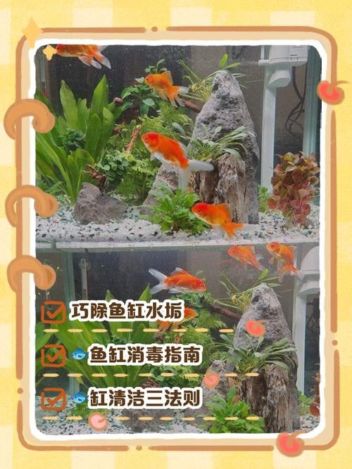 金九龍魚缸安裝圖解大全 金九龍魚缸安裝圖解大全 龍魚百科 第40張