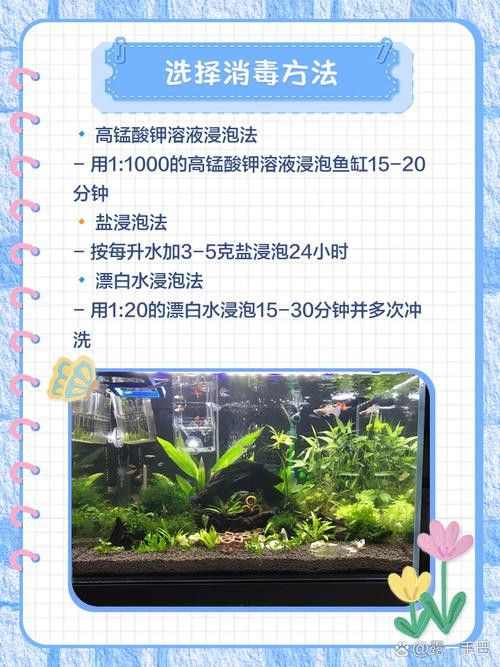 金九龍魚缸安裝圖解大全 金九龍魚缸安裝圖解大全 龍魚百科 第38張