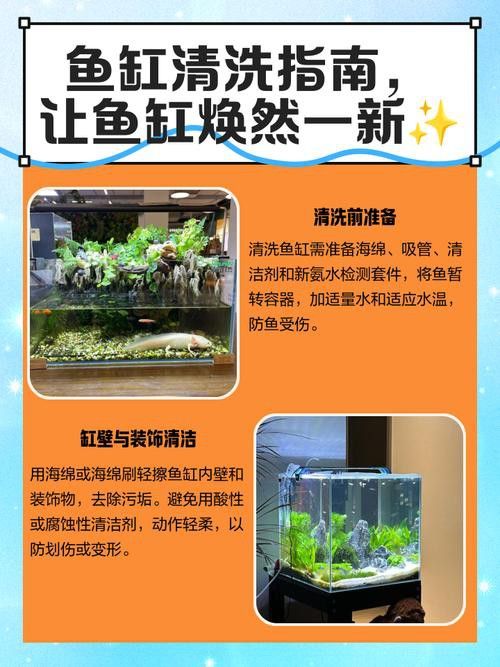 金九龍魚缸安裝圖解大全 金九龍魚缸安裝圖解大全 龍魚百科 第45張