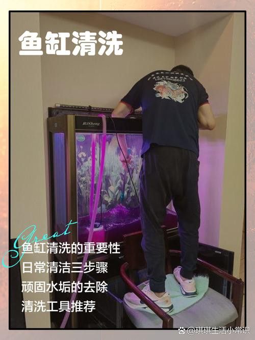 金九龍魚缸安裝圖解大全 金九龍魚缸安裝圖解大全 龍魚百科 第43張