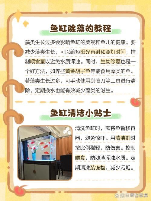 金九龍魚缸安裝圖解大全 金九龍魚缸安裝圖解大全 龍魚百科 第41張