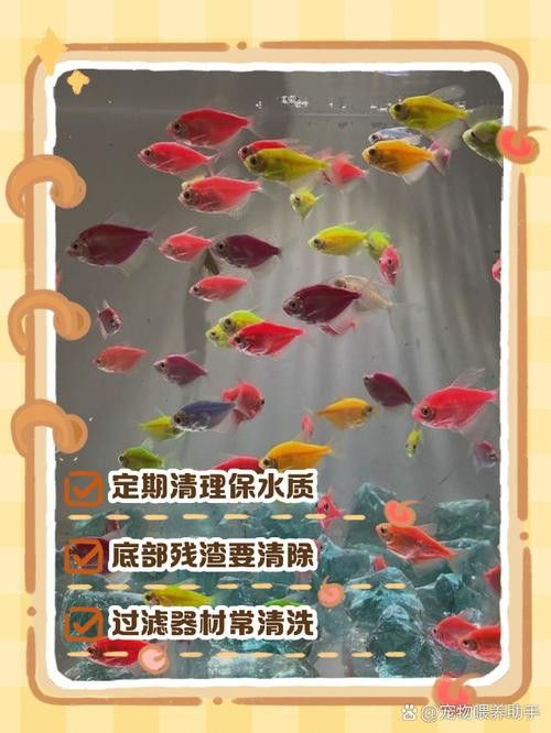 金九龍魚缸安裝圖解大全 金九龍魚缸安裝圖解大全 龍魚百科 第44張