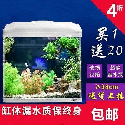 龍魚缸驅蟲藥物選擇（如何選擇龍魚缸驅蟲藥物） 龍魚缸驅蟲藥物選擇（如何選擇龍魚缸驅蟲藥物） 龍魚百科 第5張
