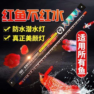 馬印水族最值得買的三個(gè)地方 馬印水族最值得買的三個(gè)地方 龍魚百科 第1張