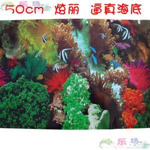 其他水族品牌批發：你正在尋找其他水族品牌批發以及貨源基地的信息 其他水族品牌批發：你正在尋找其他水族品牌批發以及貨源基地的信息 龍魚百科 第4張