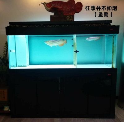 養紅龍魚缸寬45夠嗎，：一個寬度僅為45厘米的魚缸可能不適合養紅龍魚