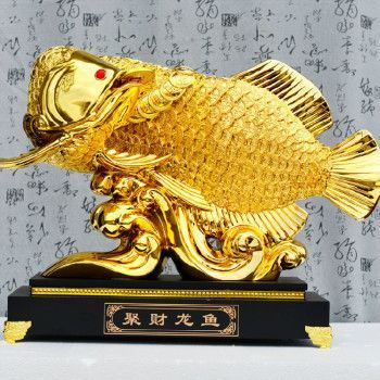 風水龍魚：龍魚缸擺放的風水禁忌 風水龍魚：龍魚缸擺放的風水禁忌 龍魚百科 第2張