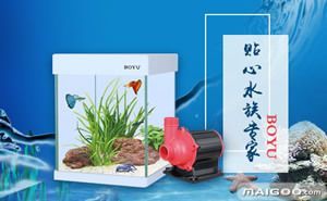 龍魚缸溫度33度可以養嗎：龍魚缸溫度控制在33度是否可以飼養龍魚 龍魚缸溫度33度可以養嗎：龍魚缸溫度控制在33度是否可以飼養龍魚 龍魚百科 第1張