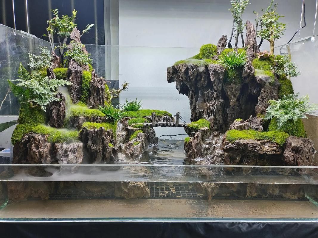 龍魚缸不養龍魚可以養什么動物