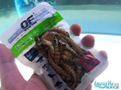 龍魚最小的魚苗是什么品種，關于龍魚最小的魚苗品種，有不同的觀點和信息和信息來源