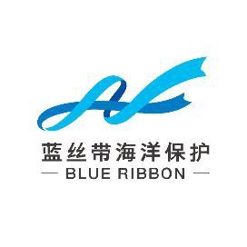 鯨魚頭很寬叫什么鯨魚