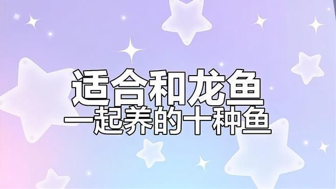龍魚缸養什么魚好養活
