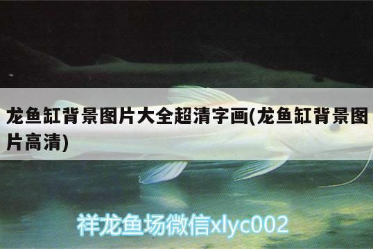 龍魚缸背景圖片大全超清 字畫：自制龍魚缸背景圖片大全自制龍魚缸背景圖片大全