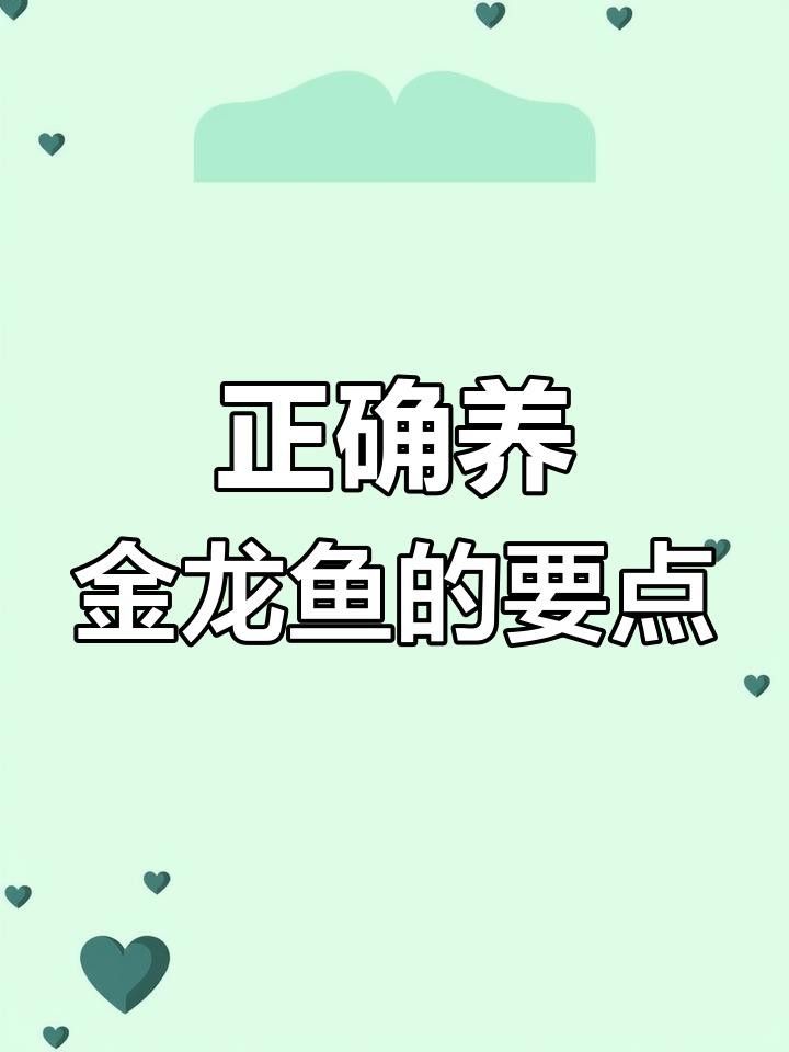 如何改善過背金龍的飼養(yǎng)環(huán)境？