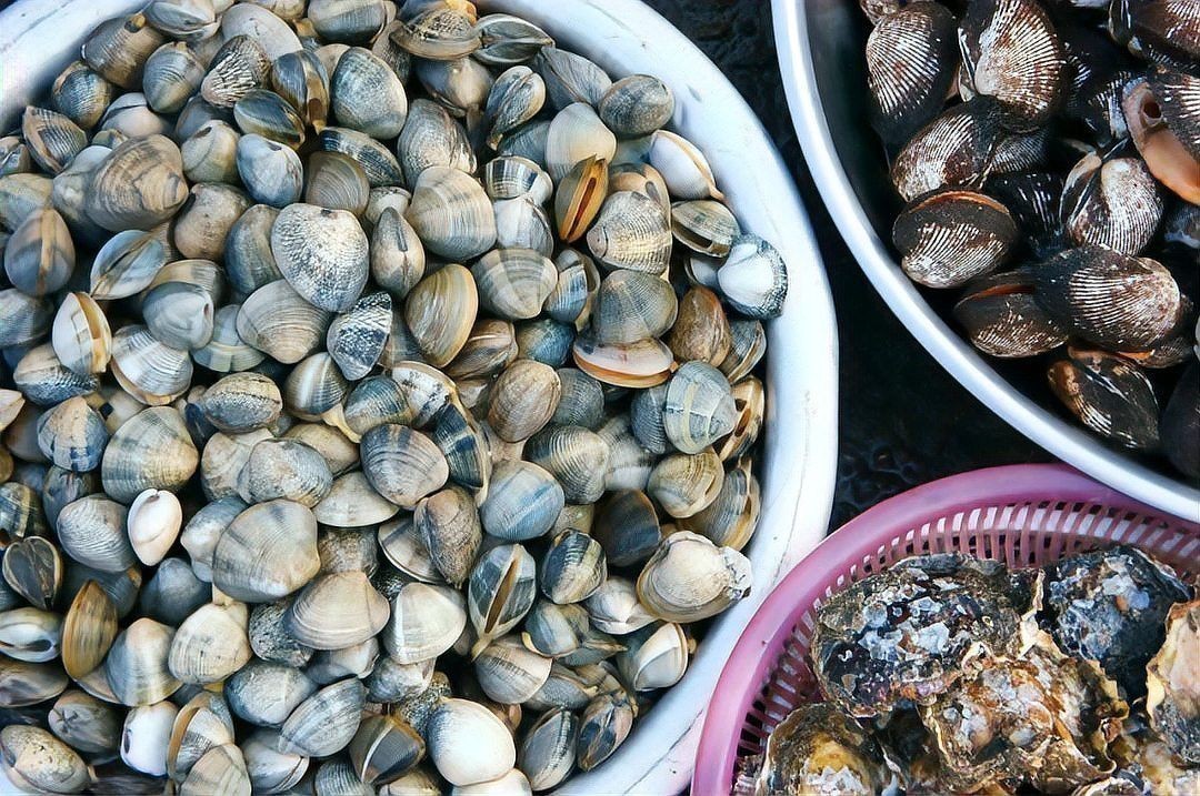如何在挑選龍?chǎng)q魚時(shí)保證新鮮？ 如何在挑選龍?chǎng)q魚時(shí)保證新鮮？ 龍魚百科 第1張