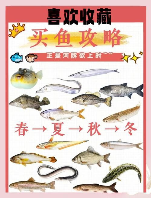 如何在挑選龍?chǎng)q魚時(shí)保證新鮮？ 如何在挑選龍?chǎng)q魚時(shí)保證新鮮？ 龍魚百科 第5張