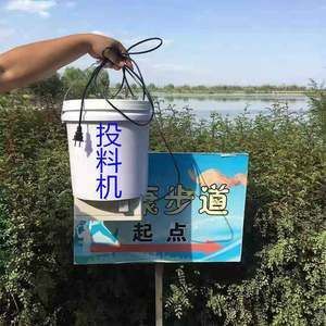 新龍魚到家幾天喂食最好：新龍魚到家后幾天喂食最好