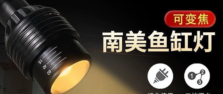 紅龍魚一般喂什么食物比較好養（紅龍魚一般喂什么食物比較好養活）