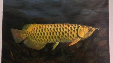 賣龍魚的銷售經驗分享（龍魚市場需求分析） 賣龍魚的銷售經驗分享（龍魚市場需求分析） 龍魚百科 第3張