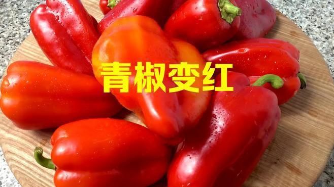 辣椒變紅了要警惕